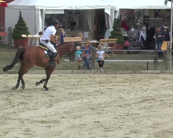 Bad Rothenfelde 2013