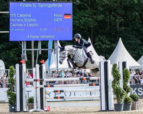 jumper Catalina 50 (Holsteiner, 2015, from Cachas)