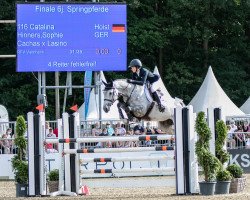 jumper Catalina 50 (Holsteiner, 2015, from Cachas)