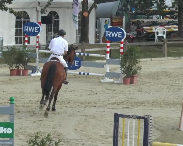 Bad Rothenfelde 2013
