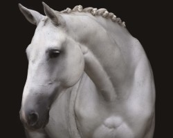 dressage horse Ebersinaa (KWPN (Royal Dutch Sporthorse), 2009, from VDL Cardento 933)