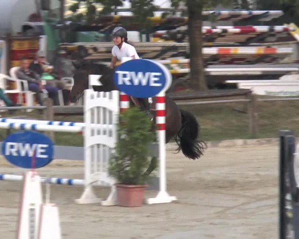 Bad Rothenfelde 2013