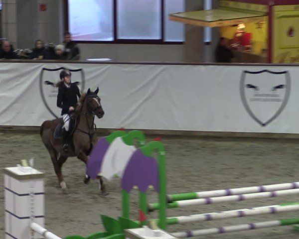 Reitturnier Prussendorf 2024