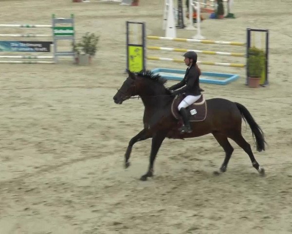 Bad Rothenfelde 2013