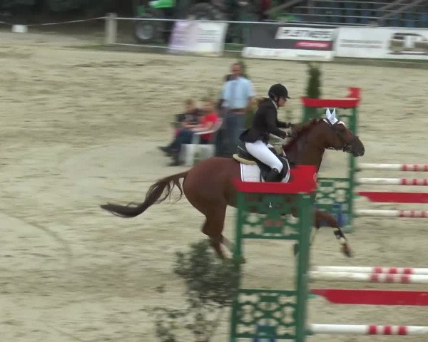 Bad Rothenfelde 2013