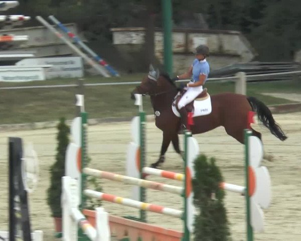 Bad Rothenfelde 2013