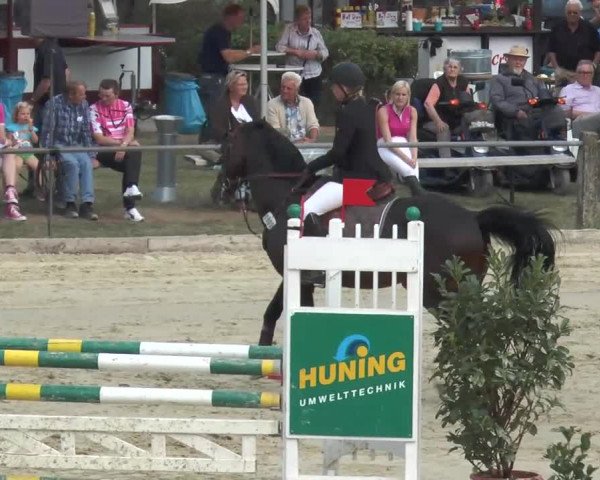 Equestrian Show Bad Rothenfelde 2013