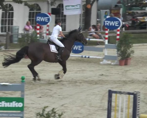 Bad Rothenfelde 2013