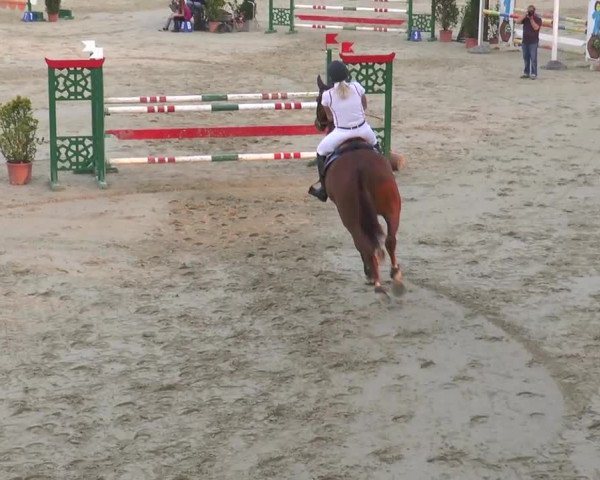 Reitturnier Bad Rothenfelde 2013