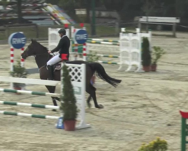 Reitturnier Bad Rothenfelde 2013