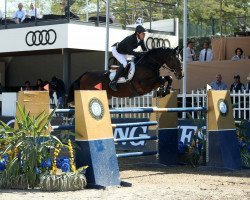 jumper Lord Power (Oldenburg show jumper, 2007, from Lord Pezi)