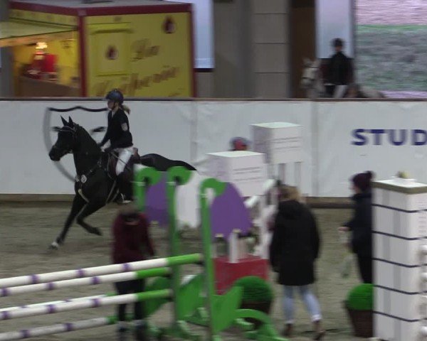 Reitturnier Prussendorf 2024