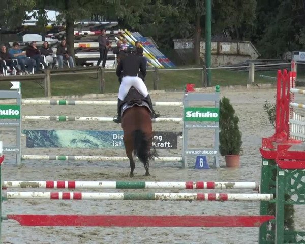 Reitturnier Bad Rothenfelde 2013