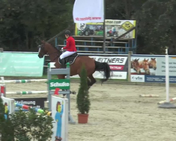 Bad Rothenfelde 2013