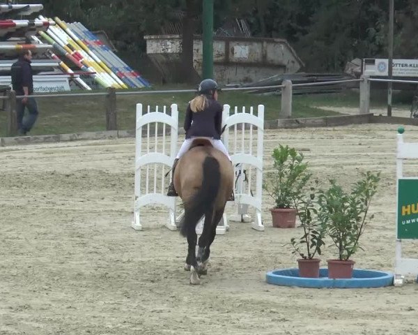 Reitturnier Bad Rothenfelde 2013