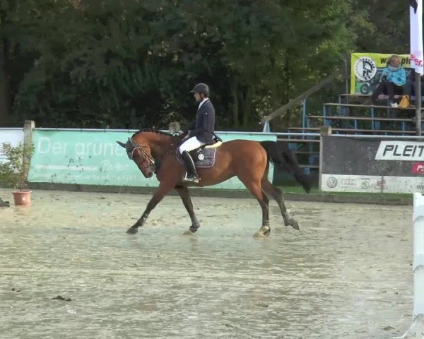 Bad Rothenfelde 2013