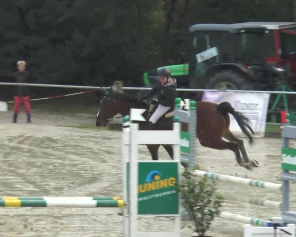 Reitturnier Bad Rothenfelde 2013