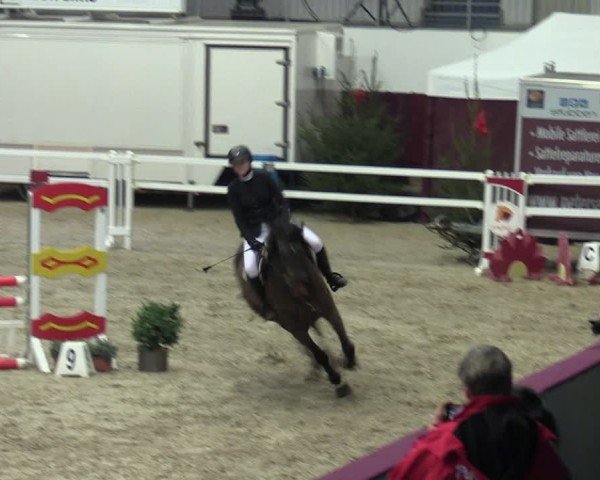 Reitturnier Neustadt/Dosse - Graf von Lindenau-Halle 2024