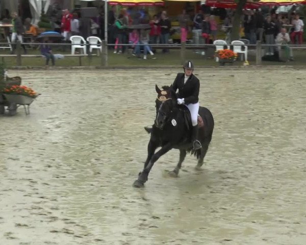 Bad Rothenfelde 2013