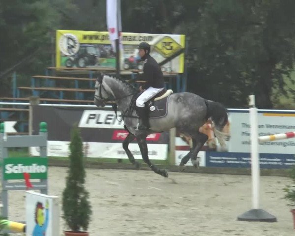 Reitturnier Bad Rothenfelde 2013