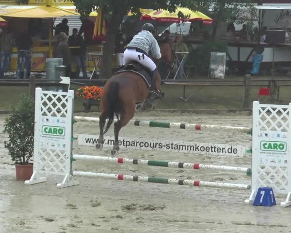 Reitturnier Bad Rothenfelde 2013