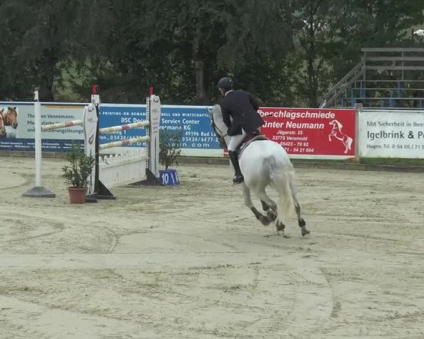 Reitturnier Bad Rothenfelde 2013
