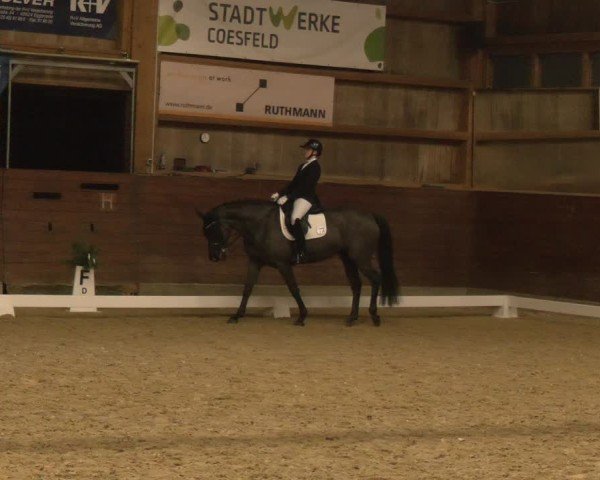 Reitturnier Coesfeld/Lette 2024