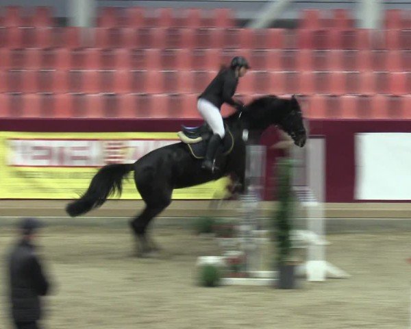 Reitturnier Neustadt/Dosse - Graf von Lindenau-Halle 2024