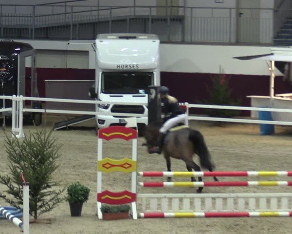 Reitturnier Neustadt/Dosse - Graf von Lindenau-Halle 2024