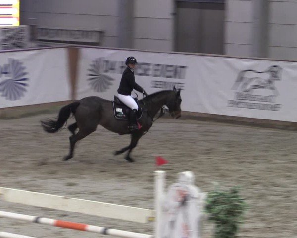 Reitturnier Prussendorf 2024