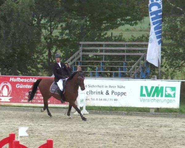 Reitturnier Bad Rothenfelde 2013