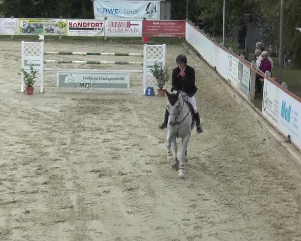 Bad Rothenfelde 2013