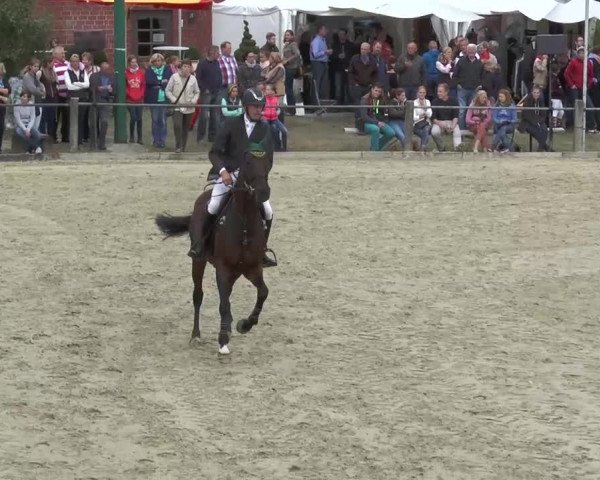 Bad Rothenfelde 2013