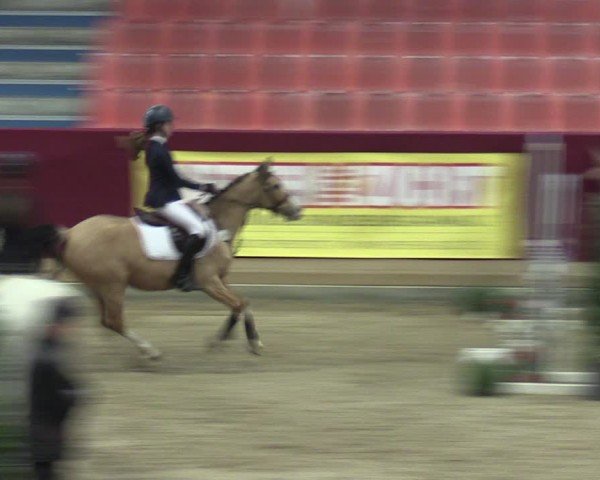 Reitturnier Neustadt/Dosse - Graf von Lindenau-Halle 2024