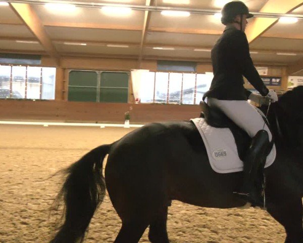 Reitturnier Coesfeld/Lette 2024