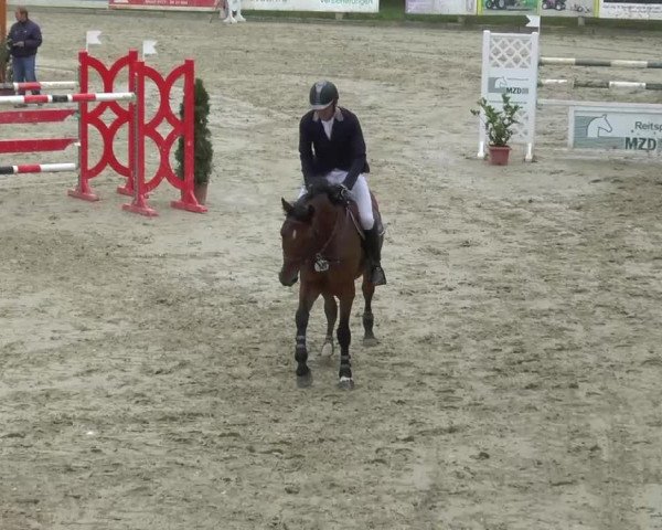 Reitturnier Bad Rothenfelde 2013