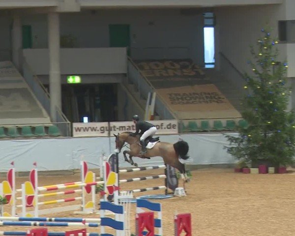 Reitturnier Kreuth/Opf. 2024