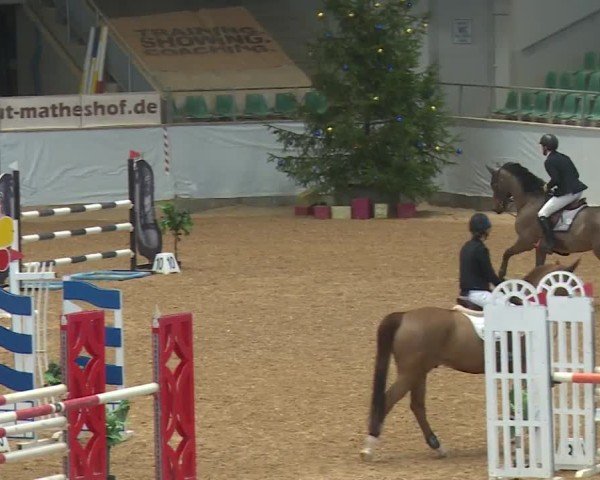 Reitturnier Kreuth/Opf. 2024
