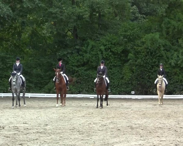 Reitturnier Essen-Kupferdreh 2013