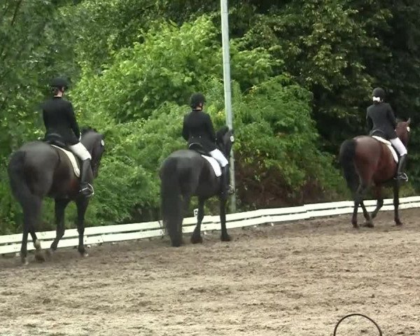 Reitturnier Essen-Kupferdreh 2013