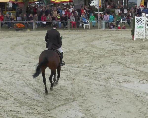 Bad Rothenfelde 2013