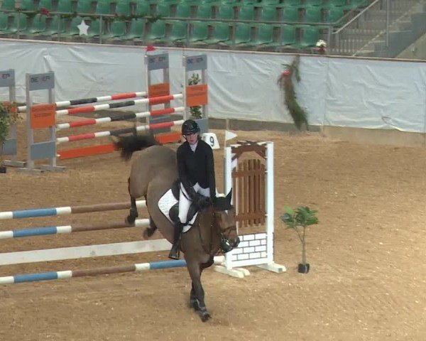 Reitturnier Kreuth/Opf. 2024