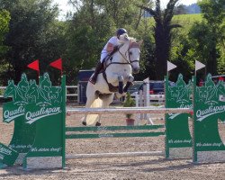 Springpferd Carthago's Kristall (Holsteiner, 2007, von Carthago)