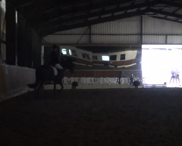 Reitturnier Essen-Kupferdreh 2013