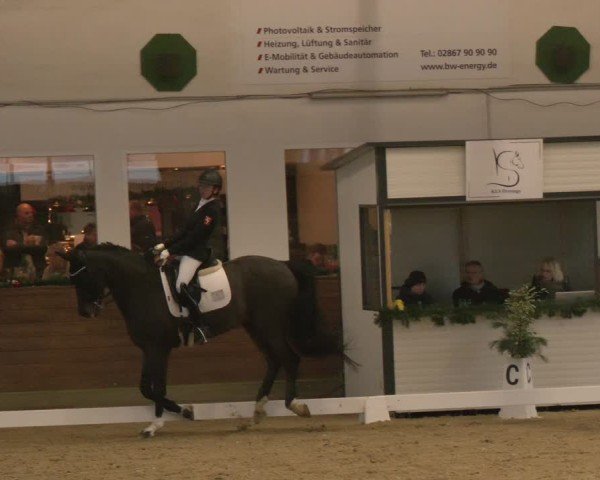 Reitturnier Coesfeld/Lette 2024