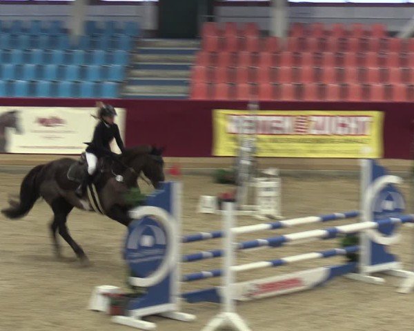 Reitturnier Neustadt/Dosse - Graf von Lindenau-Halle 2024
