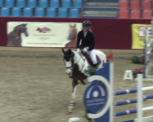 Reitturnier Neustadt/Dosse - Graf von Lindenau-Halle 2024