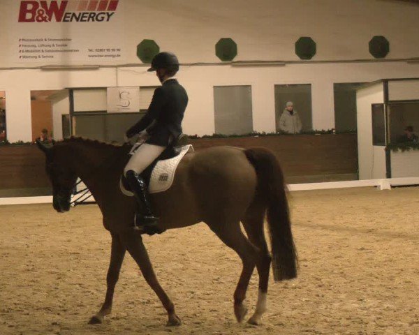 Reitturnier Coesfeld/Lette 2024