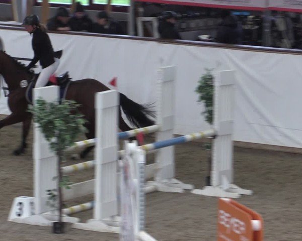 Reitturnier Prussendorf 2024