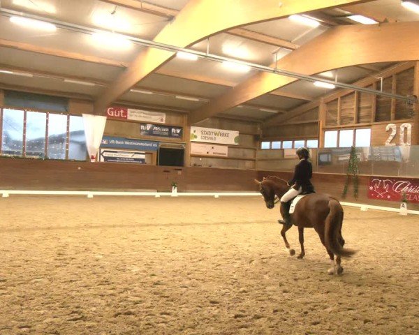 Reitturnier Coesfeld/Lette 2024